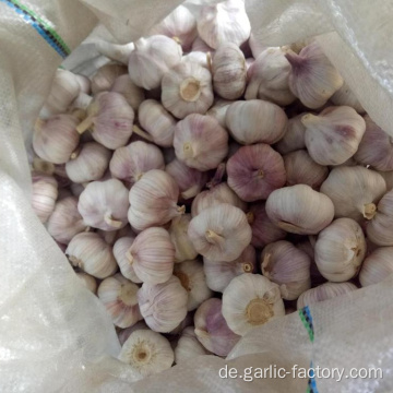 Hochwertige Bulk Knoblauch Hot Sales